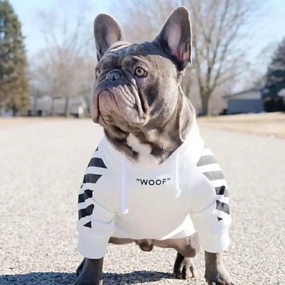 ❤️dog hoodie❤️good for Chihuahua,Bulldogs Hoodies for small --medium Dogs